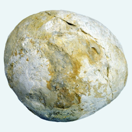 Sharoobraznaya_okamenelost_konkreciya (1)