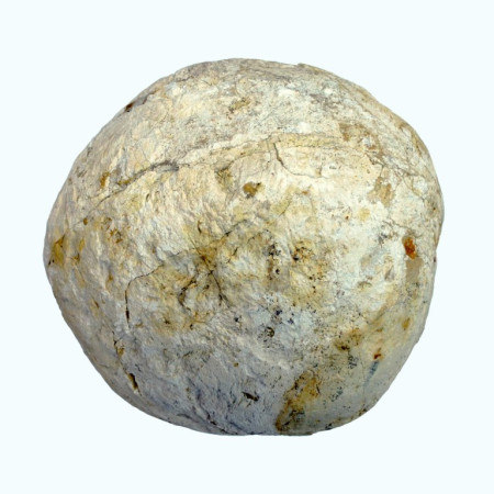 Sharoobraznaya_okamenelost_konkreciya